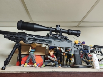 楓葉 mlc s2   已售出