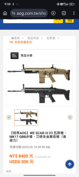 掛牆 全新We SCAR H 