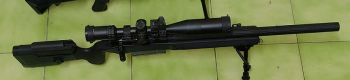 楓葉成槍(MLC-S1)