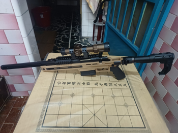 SLONG 神龍 頂級CSR-10 神龍 (沙色) 頂級配件 VSR 空氣狙擊槍