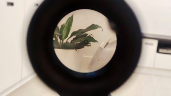 GHK AUG (A2) GHK AUG (A2)