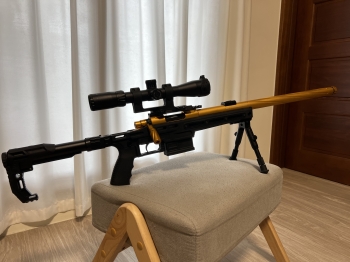 神龍CSR-10 改楓葉零件 神龍CSR-10 改楓葉零件