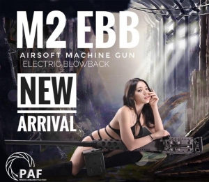 【翔準AOG】PAF M2 EBB system 50機槍 後座力電動槍 金屬新版 26公斤 重型武器 BB槍 AIRSOFT