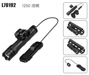 【翔準AOG】Skywoods L70192 1250 流明 軍規戰術槍燈 防震 防水 B1AEA