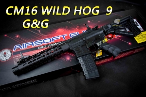 【翔準軍品AOG】G&G CM16 WILD HOG  9 電子板機 半金屬 電動步槍 M16 卡賓槍 M4 生存遊戲 步槍 CM16W9