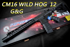 【翔準軍品AOG】G&G CM16 WILD HOG  12 電子板機 半金屬  電動步槍 M16 卡賓槍 M4 生存遊戲 步槍 CM16W12