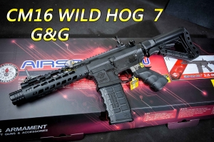 【翔準軍品AOG】G&G CM16 WILD HOG  7 電子板機   半金屬  電動步槍 M16 卡賓槍 M4 生存遊戲 步槍 CM16W7